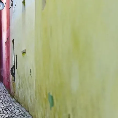 דירה Relaxing Coresi Place בראשוב