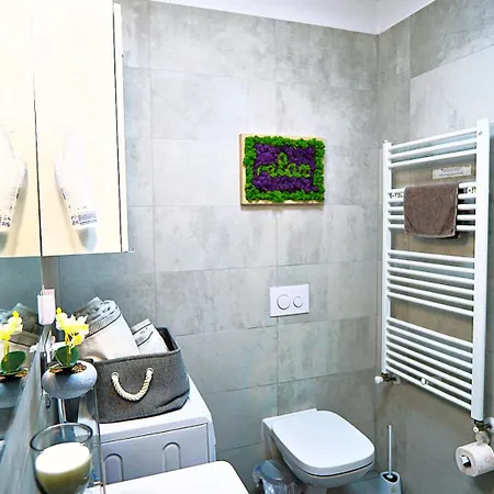 Relaxing Coresi Mall Free Parking Apartment
