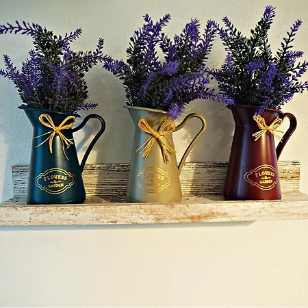 Relaxing Coresi Place דירה *