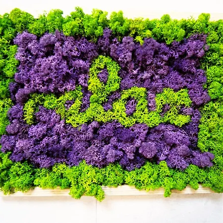 Relaxing Coresi Place בראשוב