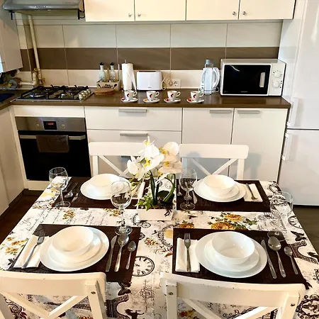 Relaxing Coresi Mall Free Parking Apartment *