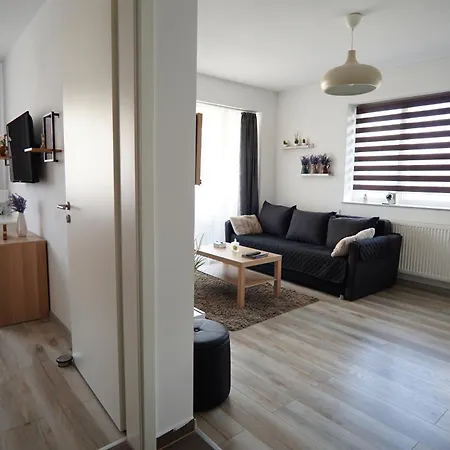 Apartment Relaxing Coresi Mall Free Parking