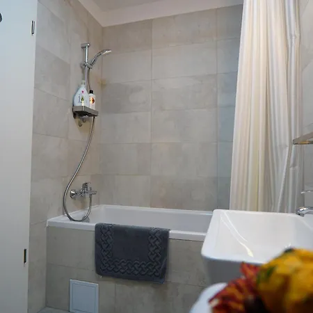 Apartment Relaxing Coresi Mall Free Parking