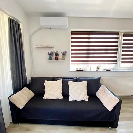 Relaxing Coresi Mall Free Parking Apartment Brașov