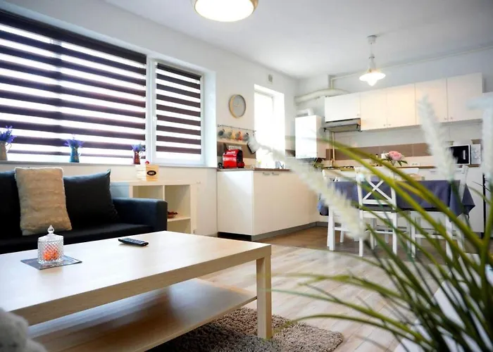 Daire Relaxing Coresi Mall Studio Free Parking *