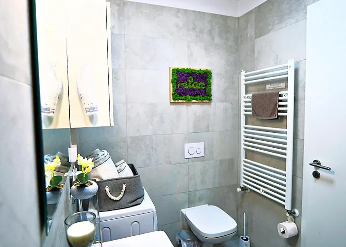 Relaxing Coresi Mall Studio Free Parking Daire