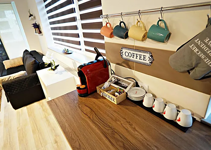 Daire Relaxing Coresi Mall Studio Free Parking