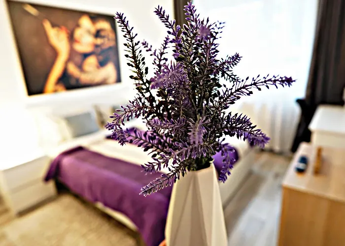 Relaxing Coresi Mall Studio Free Parking