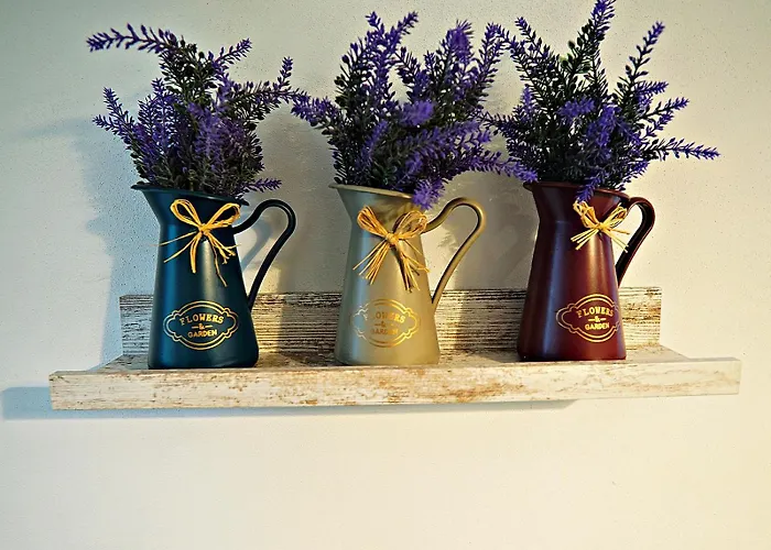 Relaxing Coresi Mall Studio Free Parking Daire *