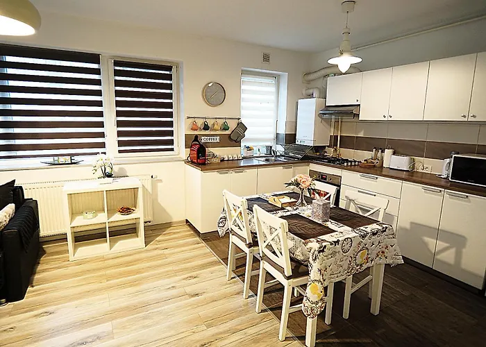 Relaxing Coresi Mall Studio Free Parking * Braşov