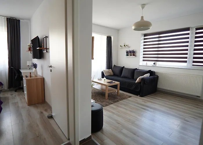 Daire Relaxing Coresi Mall Studio Free Parking