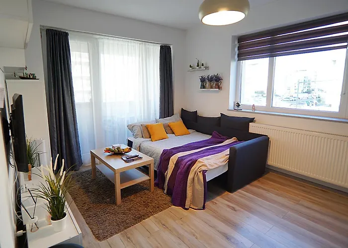 Relaxing Coresi Mall Studio Free Parking Daire *